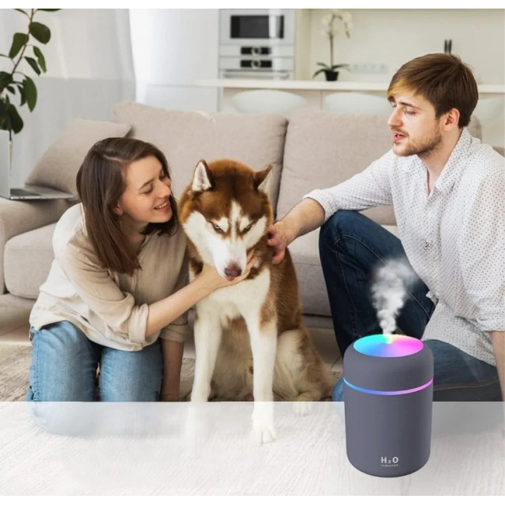 Mini humidifier in the living room